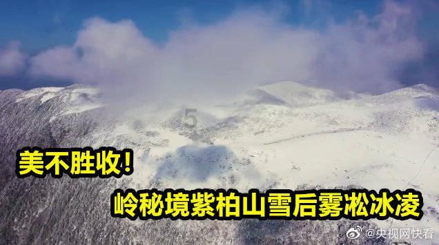 海豚星空tv破解版