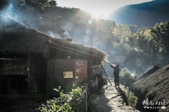 长寿不吃茄子游戏画面