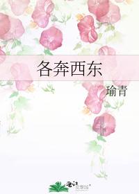 华为感恩回馈季火爆齐鲁，多项福利开启新年狂欢