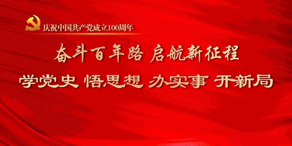 寻找迷路的松鼠