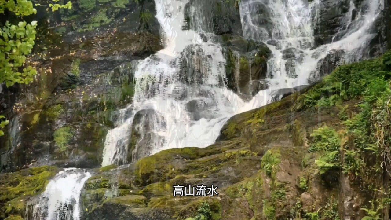 魏永康:13岁考上重本,17岁考进中科院,如今现状如何?