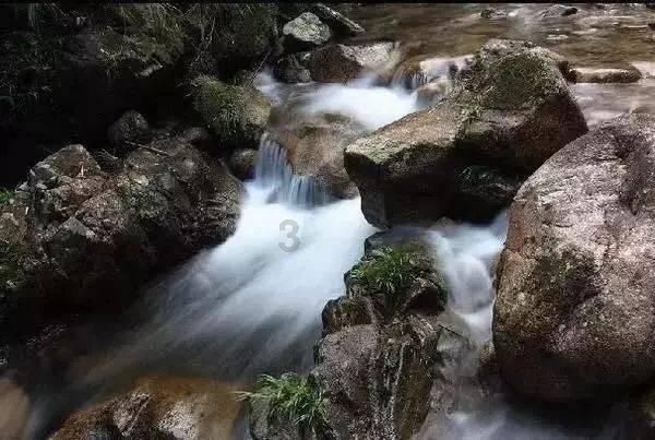 永定区政协委员工作室 联合开展公益文化下乡活动