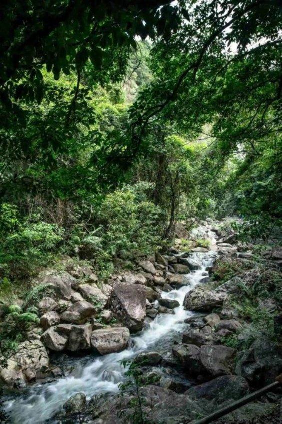 塞尔达荒野之息