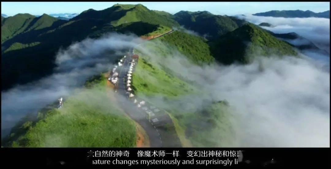 蛇吃金钥匙
