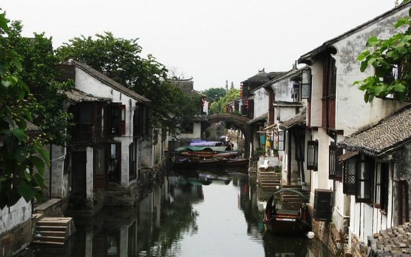 御龙在天