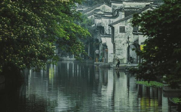 和刘孃孃一起下田收中药