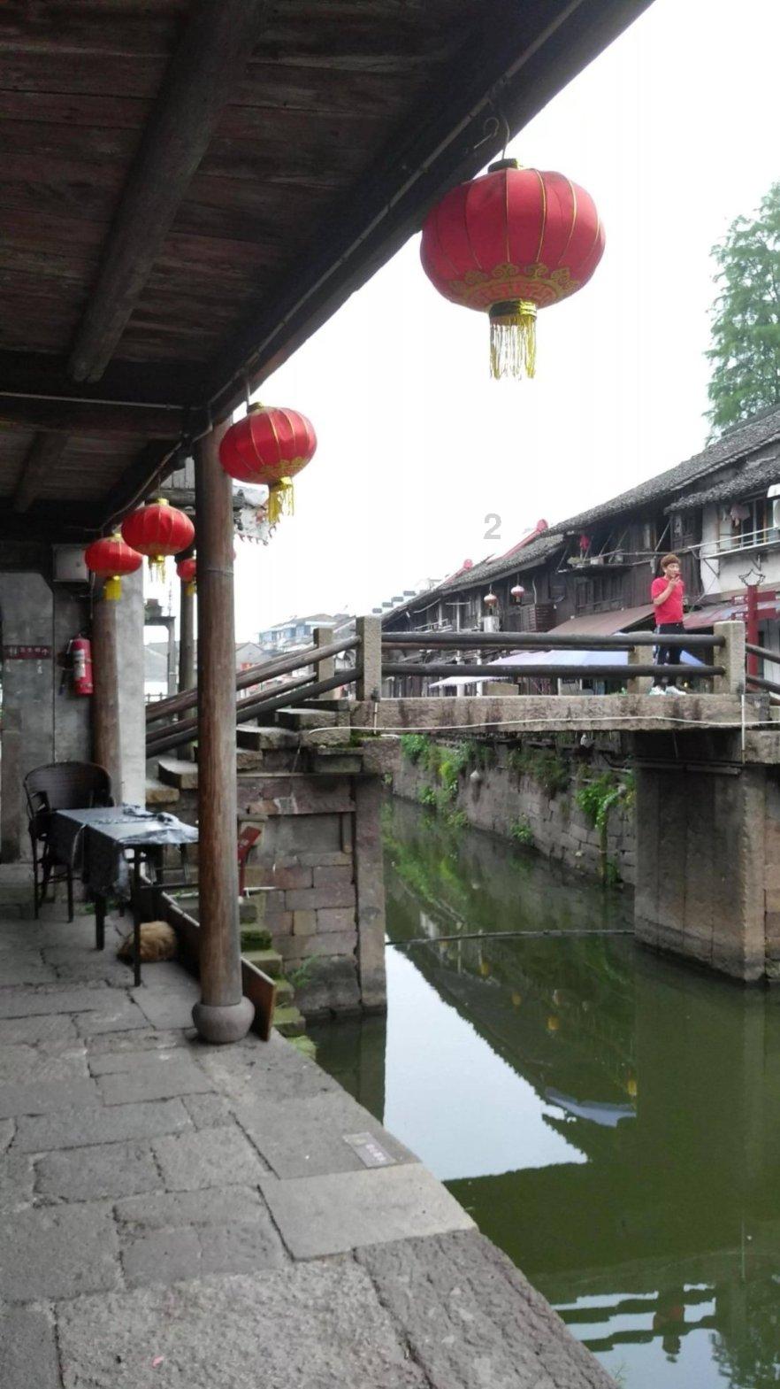 现在的季节种红种茴香可以吗？游戏画面